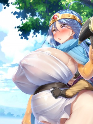 (同人CG集) [かわはぎ亭] 性器が呪われた装備～合体したまま二人旅～ (ドラゴンクエストIII)_textless_020