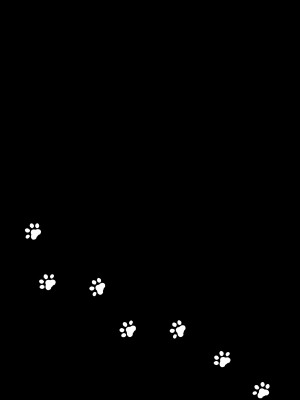 [お暇とまと (いずミケ) ] 黒猫と先生&nbsp;&nbsp;[DL版]_01