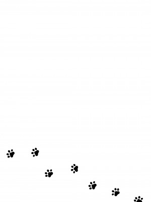 [お暇とまと (いずミケ) ] 黒猫と先生&nbsp;&nbsp;[DL版]_74