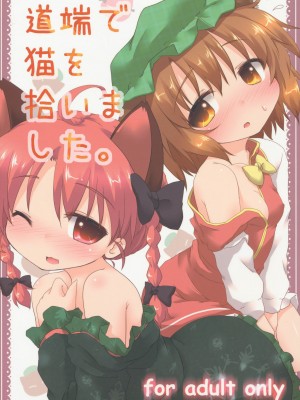 [KRT個人漢化] (例大祭9) [がいなもん (夏の紅茶)] 道端で猫を拾いました。 (東方Project)_01