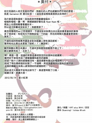 [KRT個人漢化] (例大祭9) [がいなもん (夏の紅茶)] 道端で猫を拾いました。 (東方Project)_21