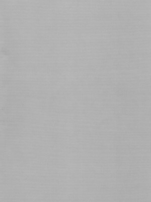 [清純突破漢化] (C76) [r.i.s factory (るしゅーと)] DOLCE CASTEL (ゼロの使い魔)_04