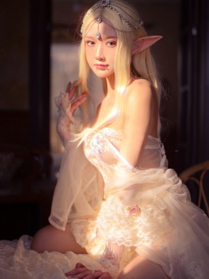 [阿包也是兔娘] 精灵 写真套图_10024