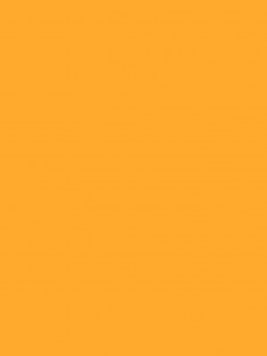 [向正義] 銀竜の黎明 VOL.3 復刊版_004