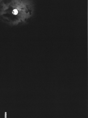 [日吉ハナ] 廻逢のケモノ [转尾巴猫汉化]_178_P175