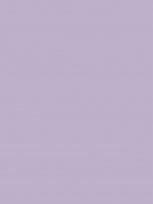 [陰毛チョレギサラダ (陰ちょれ)] ちょびっと-アブノーマルなロリっ娘CLUB [中国翻訳] [DL版]_25