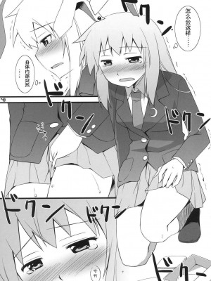 [喵玉汉化] (鈴仙祭) [梅の実画報 (うめきち)] Lunar Strain (東方Project)_07