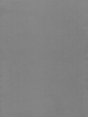 [绮罗星汉化] (C80) [r.i.s factory (るしゅーと)] PURPLE STORM (インフィニット・ストラトス)_03