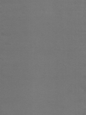 [绮罗星汉化] (C80) [r.i.s factory (るしゅーと)] PURPLE STORM (インフィニット・ストラトス)_05