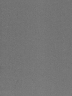 [绮罗星汉化] (C80) [r.i.s factory (るしゅーと)] PURPLE STORM (インフィニット・ストラトス)_30