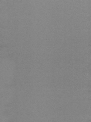 [绮罗星汉化] (C80) [r.i.s factory (るしゅーと)] PURPLE STORM (インフィニット・ストラトス)_31