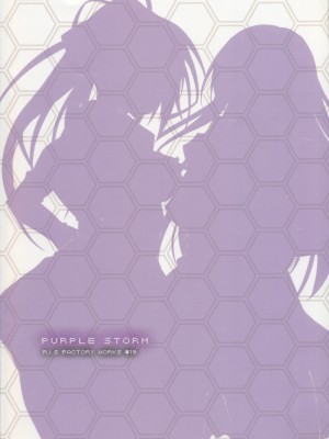 [绮罗星汉化] (C80) [r.i.s factory (るしゅーと)] PURPLE STORM (インフィニット・ストラトス)_34