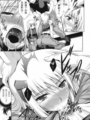 [飞雪汉化组] (C75) [Type-G (イシガキタカシ)] スカーレットツイン (マブラヴ オルタネイティヴ トータル・イクリプス)_12