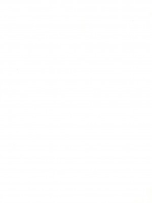 (C48) [LASERBEAM (よろず)] 御マンゴォプリン_30