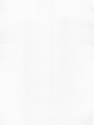 (C69) [NAGOMIX (なごやこーちん)] まんまみぃあ!_02