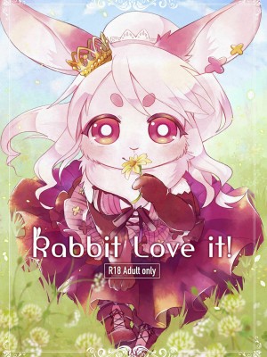 [虾皮汉化组] (けもケット5) [moffle (マボ)] Rabbit love it! | 兔子爱上他!_01
