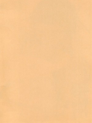 (SUPER COMIC CITY 26) [まんぷち (ねこでる)] 汝の隣人を_02