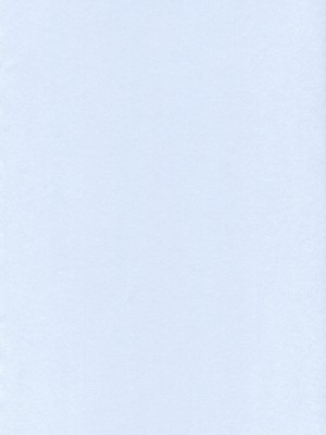 [Genesis漢化] [白樺通り (DRY)] Slow Life_02