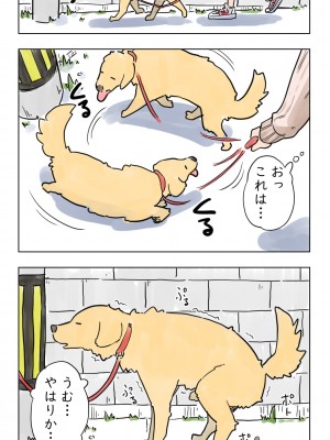 [Lithium] 100日後に愛犬とセックスする地味巨乳メガネちゃん_003_2739875_p0_B6HhtdkI5GwSbqxoqvUhqR7I_