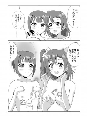 [MagicalFlight (十畳たたみ)] 姉妹丼パーティー (ラブライブ!) [DL版]_11