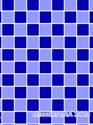 [てろめあな (ぐすたふ)] メイド主従ラバーズ (アイドルマスター シンデレラガールズ) [中国翻訳] [DL版]_image_069