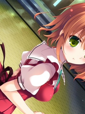 [Princess Sugar] 姫様LOVEライフ！ -もーっと！イチャイチャ☆ぱらだいす！- 豪華初回限定版_cg601c