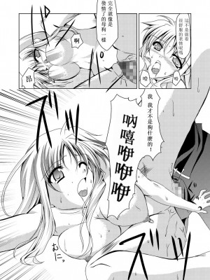 [靴下汉化组] (C74) [TRICKorTREAT (神楽つくね)] InSult II (魔法少女リリカルなのは)_19