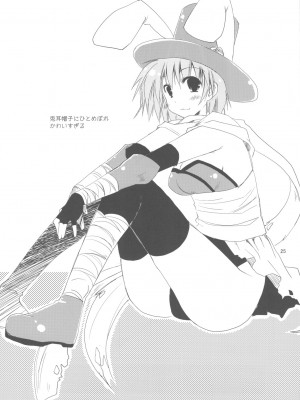 [神風漢化] (C77) [ぽんこつわーくす] ぽんこつグラフィティ08 (トゥハート2)_25