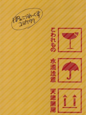 [神風漢化] (C77) [ぽんこつわーくす] ぽんこつグラフィティ08 (トゥハート2)_32