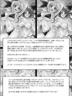 [Kouga×新桥月白日语社] (C80) [メタボ喫茶異臭騒ぎ (いたちょう、カキコ)] 南の島で危機100発 (魔法少女リリカルなのは)_34