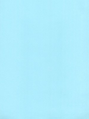 (C99) [黒魔法研究所 (ぬかじ)] 池沼の子をオナホにする3_03