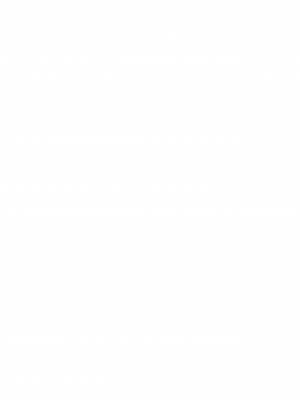 (C99) [もふしっぽらぼ (なかむらすばる)] ほうかご勉強会 (東方Project)_02