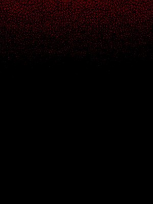 桃花 60-61話_60_033