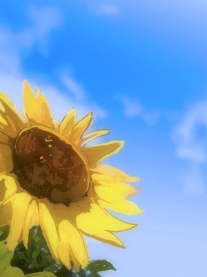 [ばみりおん] 都会から来た親戚のギャルのお姉ちゃんとHな夏休み_210