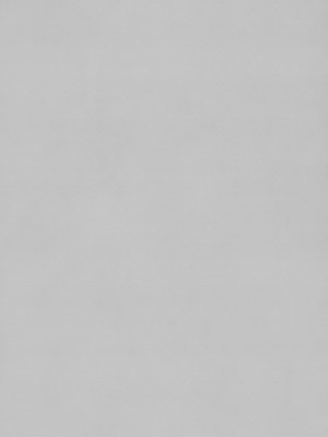 (C99) [TIES (タケイオーキ)] 私の、お父さん_02