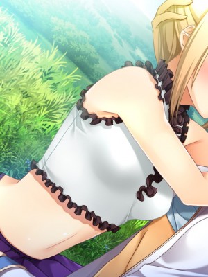 戦国†恋姫X 〜乙女絢爛☆戦国絵巻_e2Erika01c