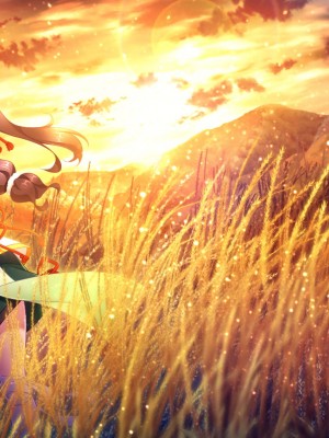 戦国†恋姫X 〜乙女絢爛☆戦国絵巻_e2Mikaduki01al