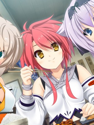 戦国†恋姫X 〜乙女絢爛☆戦国絵巻_e2San01a