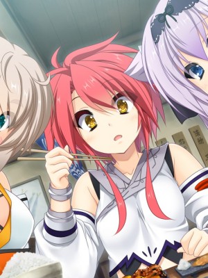 戦国†恋姫X 〜乙女絢爛☆戦国絵巻_e2San01e