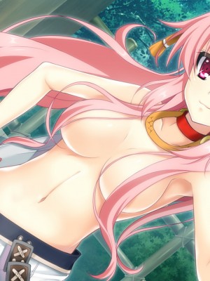 戦国†恋姫X 〜乙女絢爛☆戦国絵巻_e2Takeda06a