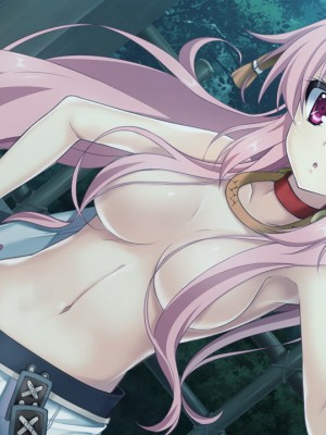 戦国†恋姫X 〜乙女絢爛☆戦国絵巻_e2Takeda06h