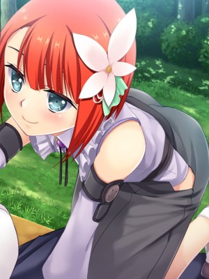 戦国†恋姫X 〜乙女絢爛☆戦国絵巻_e2Takeda07b