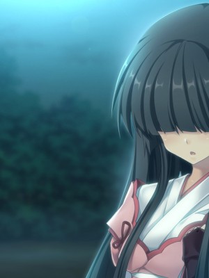 戦国†恋姫X 〜乙女絢爛☆戦国絵巻_e5Mont00common16aa