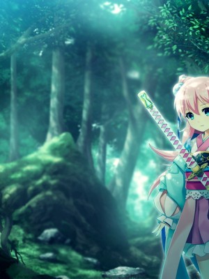 戦国†恋姫X 〜乙女絢爛☆戦国絵巻_e5Mont00common23ba