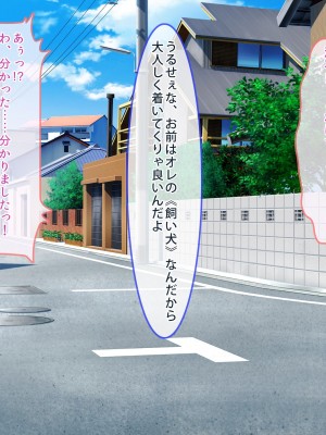 正義の変身ヒロインが俺を見下す姉妹だったので弱みにつけこみ洗脳調教でチンポ狂いの孕み袋に堕とす！！_276