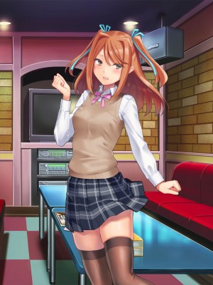 正義の変身ヒロインが俺を見下す姉妹だったので弱みにつけこみ洗脳調教でチンポ狂いの孕み袋に堕とす！！_617