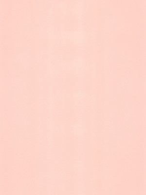 [スタジオらっきょう (鷹勢優、芦俊)] 完全年少 14 (おとぎ銃士赤ずきん) [2007年4月15日] [牛肝菌汉化]_36