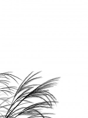 [ノラネコノタマ (雪野みなと)] 光の君のさがなき計画 -軒端荻- [無修正] [DL版]_20