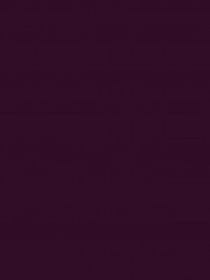 [靴下汉化组] [Doge Club (Kome)] 獣耳ロリ調教記 [DL版]_02