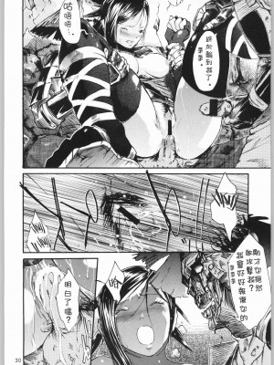 [白杨汉化组] (C66) [ナイロン100% (ナイロン)] 地獄 (鬼武者)_29